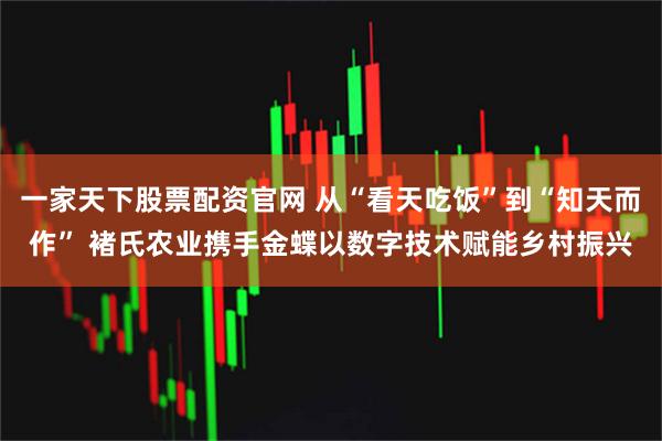 一家天下股票配资官网 从“看天吃饭”到“知天而作” 褚氏农业携手金蝶以数字技术赋能乡村振兴